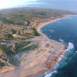 Nine-Palms-and-Surf-Spot