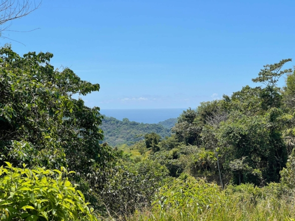 Ocean View Property with Creek and Building Sites
