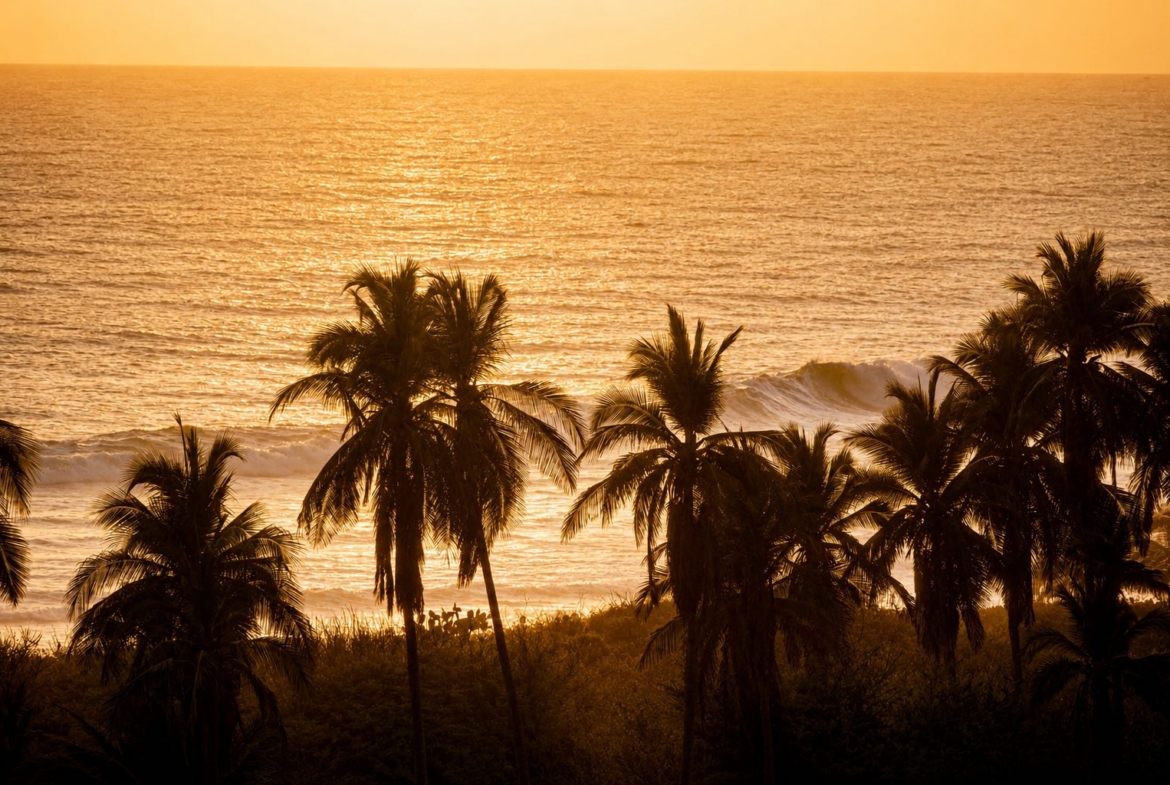 casa-mango-la-saladita-mexico