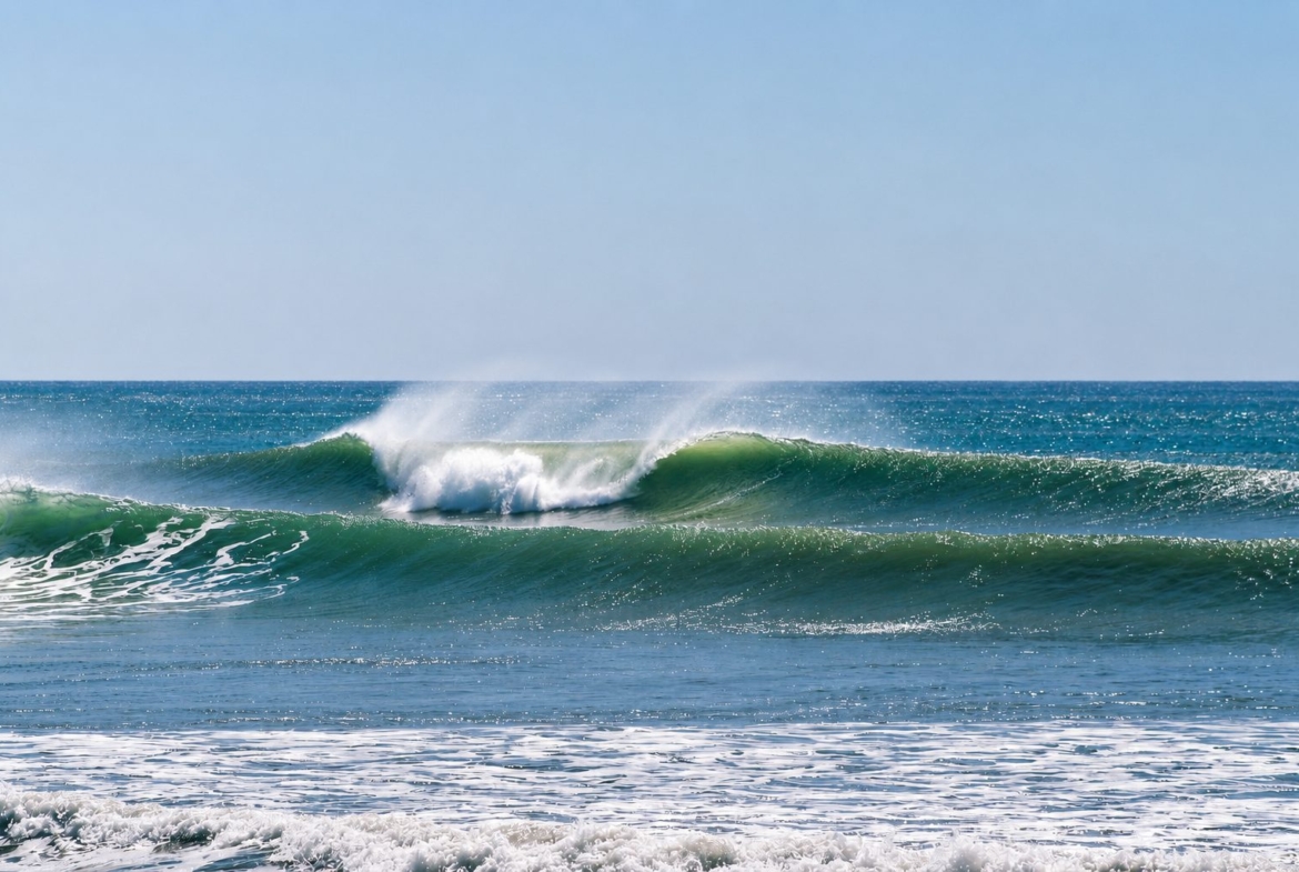 el-ranchito-surf-camp-school-panama-for-sale
