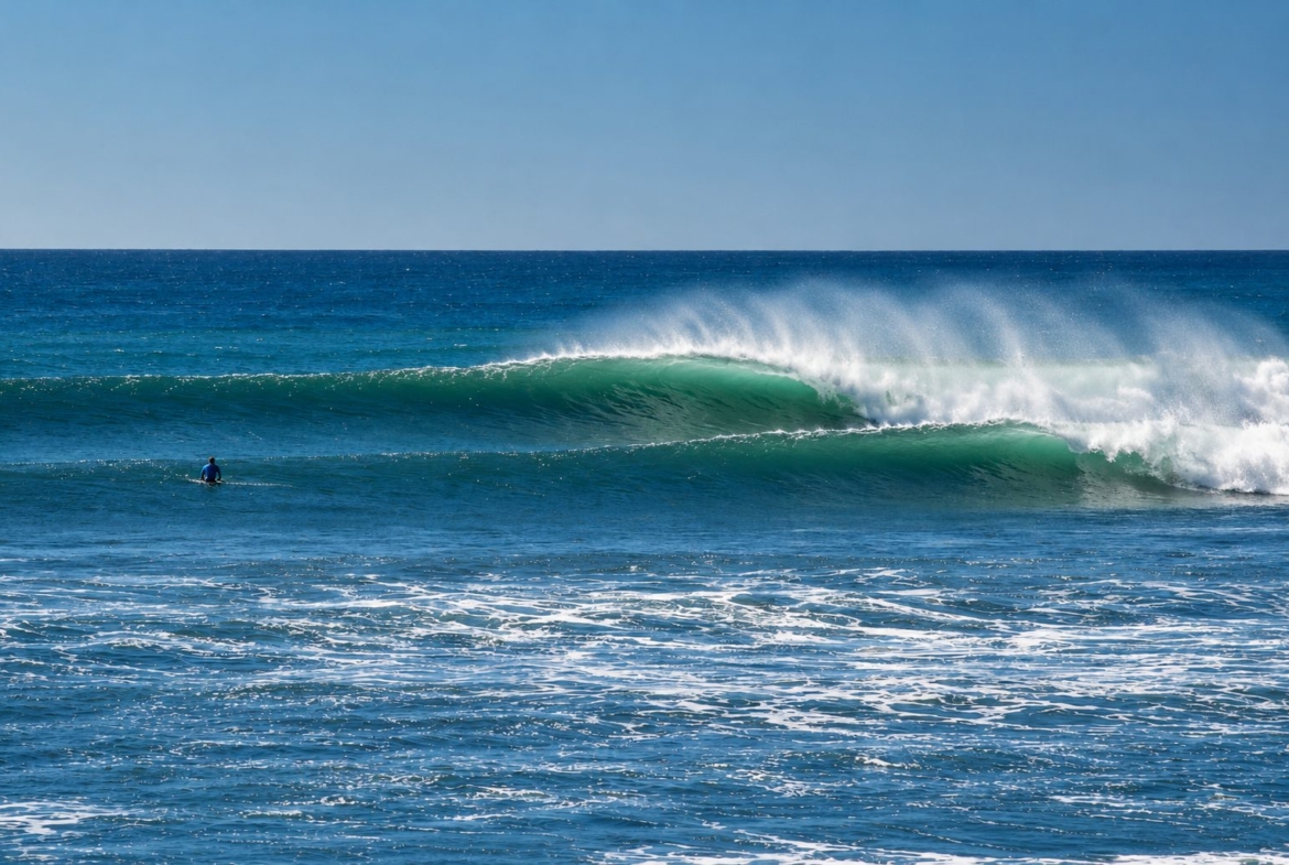 el-ranchito-surf-camp-school-panama-for-sale