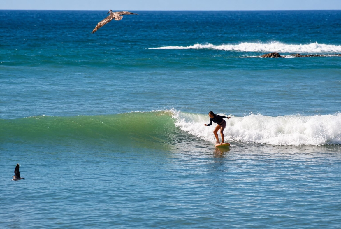 el-ranchito-surf-camp-school-panama-for-sale