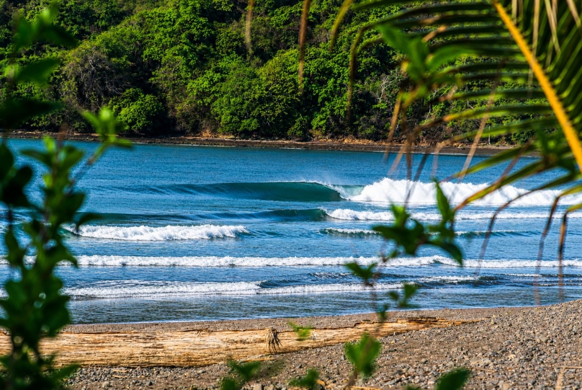 el-ranchito-surf-camp-school-panama-for-sale