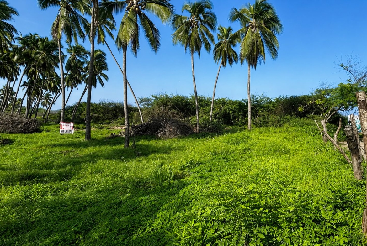 ixtapa-mexico-surf-development-land