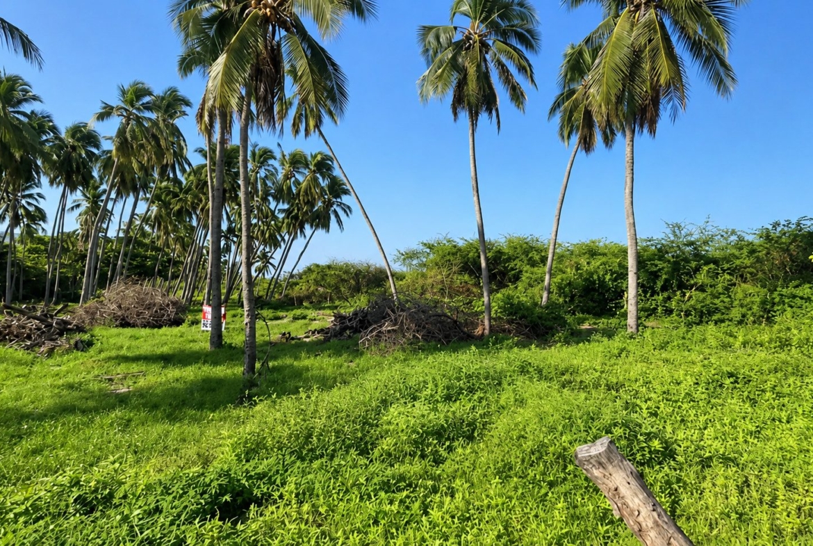 ixtapa-mexico-surf-development-land