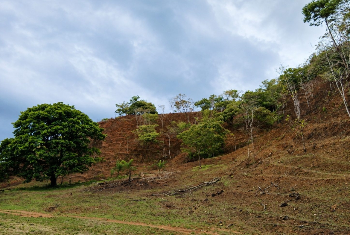 pixvae-veraguas-panama-ocean-view-land-for-sale