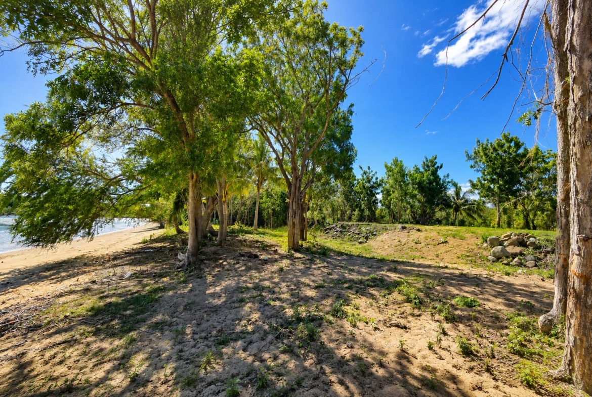 cloudbreak-momi-bay-fiji-oceanfront-development-land-Aireal-2500 m2