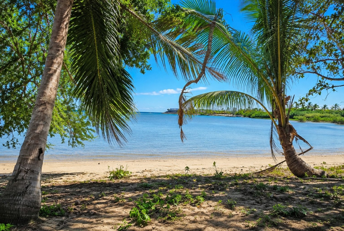 cloudbreak-momi-bay-fiji-oceanfront-development-land-Aireal-2500 m2
