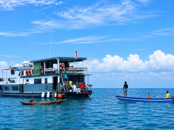 ombak-kabau-mentawai-surf-charter-investment